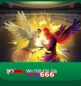 win666